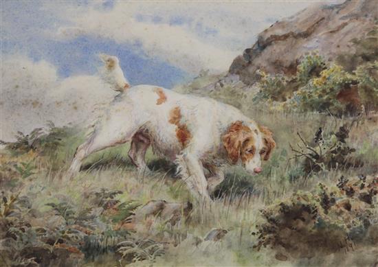 N H 1891 Study of a spaniel Rush on a hillside, 1891, 7 x 10in.